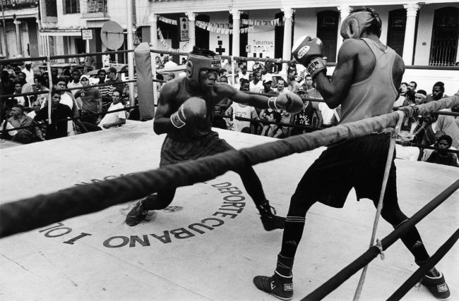 HAVANA BOXING CLUB